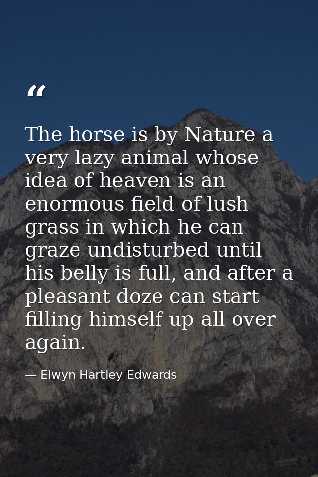 The horse is by Nature a very lazy animal whose idea of heaven is an enormous field of lush grass in which he can graze  — Elwyn Hartley Edwards