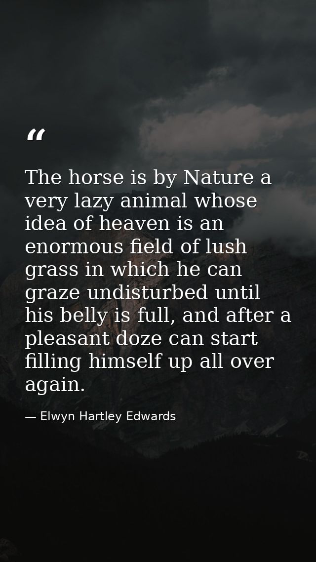 The horse is by Nature a very lazy animal whose idea of heaven is an enormous field of lush grass in which he can graze  — Elwyn Hartley Edwards