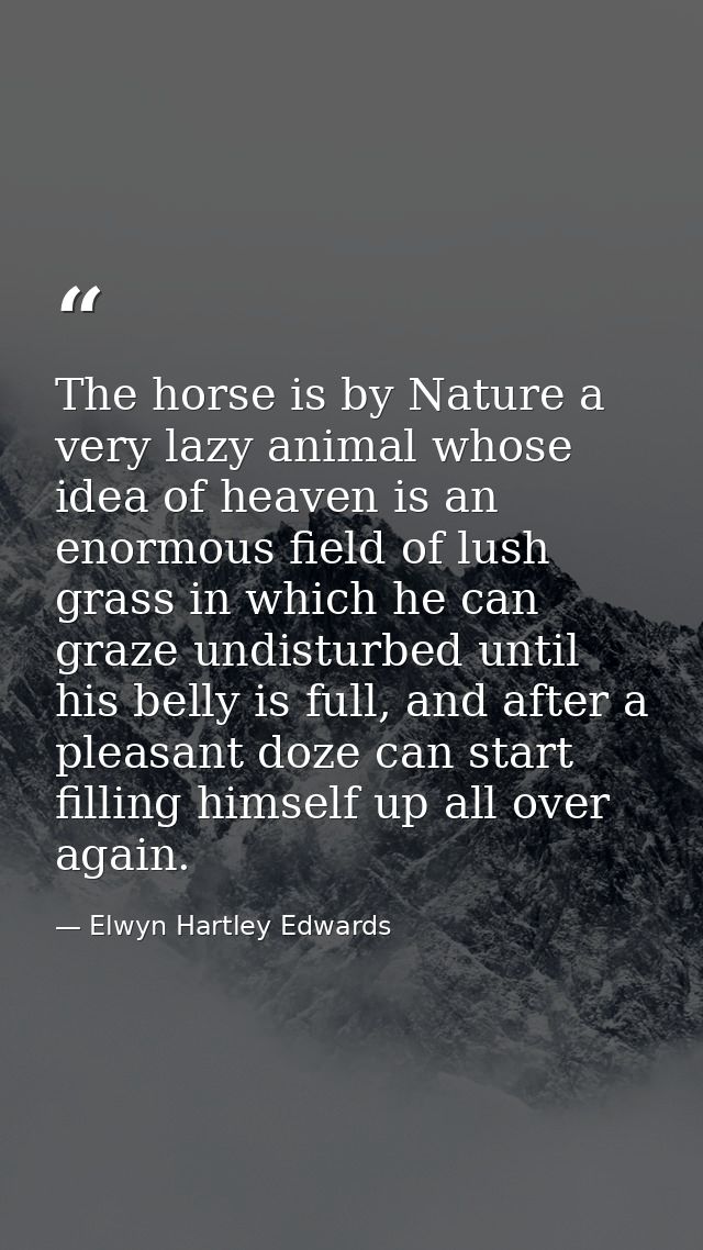 The horse is by Nature a very lazy animal whose idea of heaven is an enormous field of lush grass in which he can graze  — Elwyn Hartley Edwards