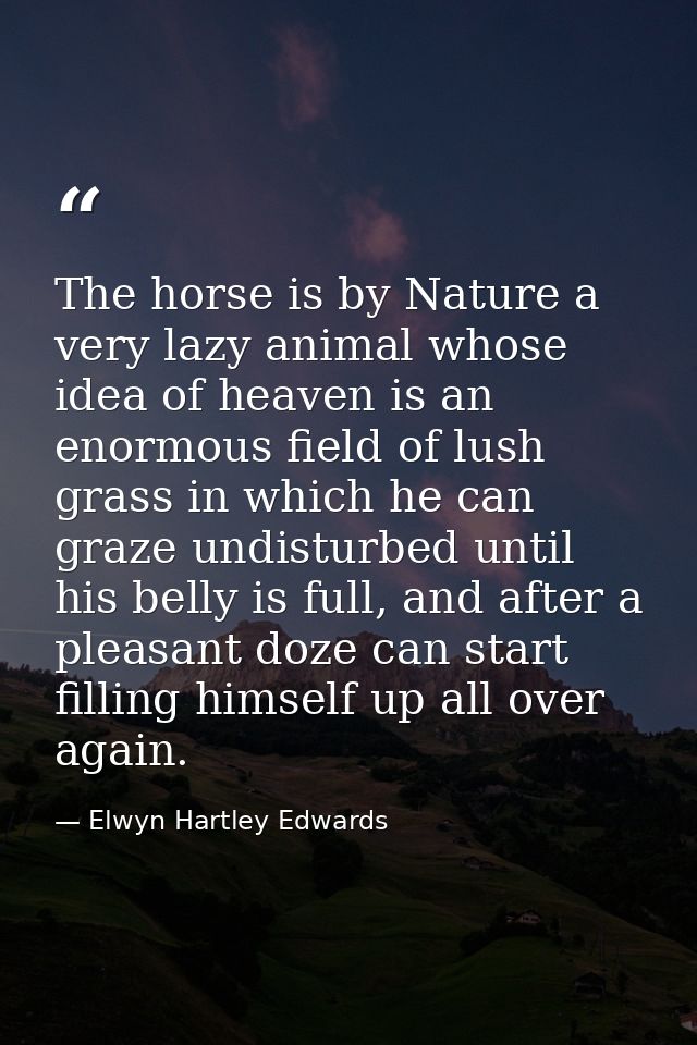 The horse is by Nature a very lazy animal whose idea of heaven is an enormous field of lush grass in which he can graze  — Elwyn Hartley Edwards
