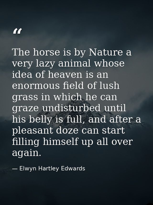 The horse is by Nature a very lazy animal whose idea of heaven is an enormous field of lush grass in which he can graze  — Elwyn Hartley Edwards