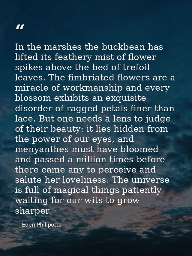 In the marshes the buckbean has lifted its feathery mist of flower spikes above the bed of trefoil leaves. The fimbriate — Eden Phillpotts