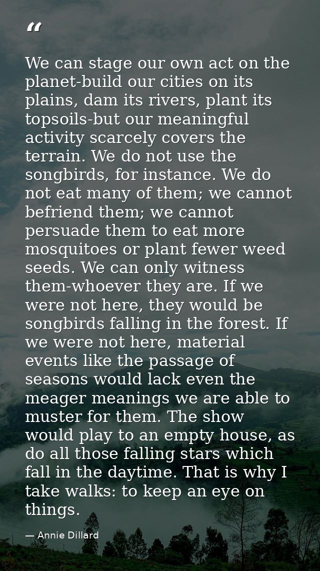 We can stage our own act on the planet-build our cities on its plains, dam its rivers, plant its topsoils-but our meanin — Annie Dillard