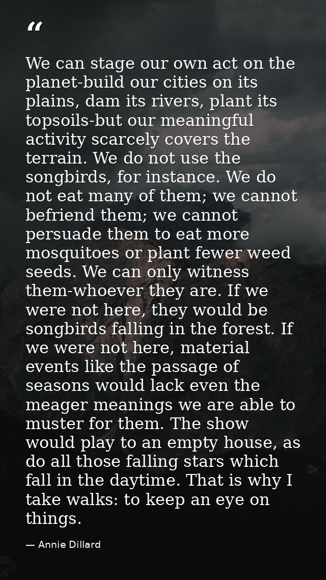 We can stage our own act on the planet-build our cities on its plains, dam its rivers, plant its topsoils-but our meanin — Annie Dillard