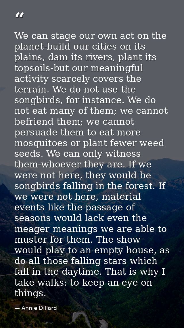 We can stage our own act on the planet-build our cities on its plains, dam its rivers, plant its topsoils-but our meanin — Annie Dillard