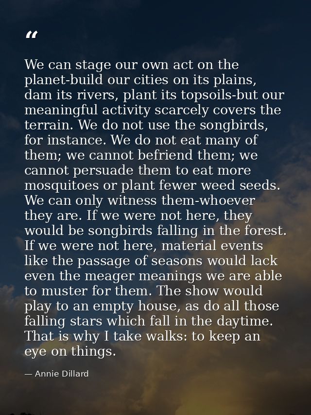 We can stage our own act on the planet-build our cities on its plains, dam its rivers, plant its topsoils-but our meanin — Annie Dillard