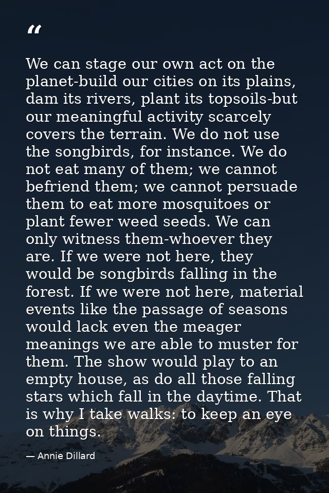 We can stage our own act on the planet-build our cities on its plains, dam its rivers, plant its topsoils-but our meanin — Annie Dillard