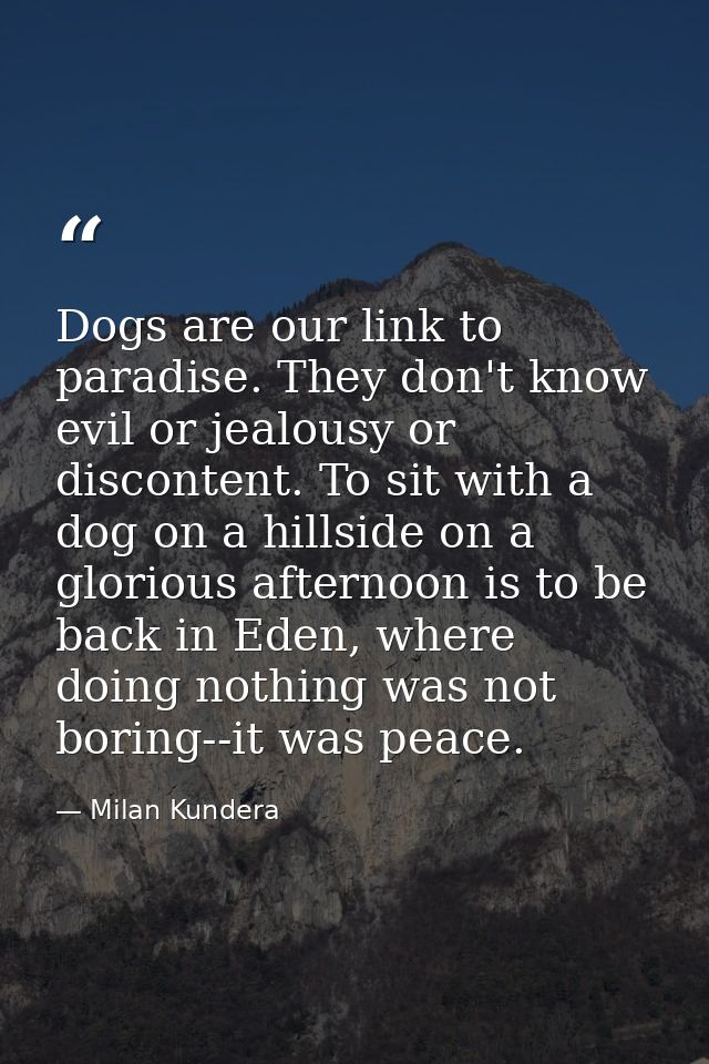 Dogs are our link to paradise. They don't know evil or jealousy or discontent. To sit with a dog on a hillside on a glor — Milan Kundera