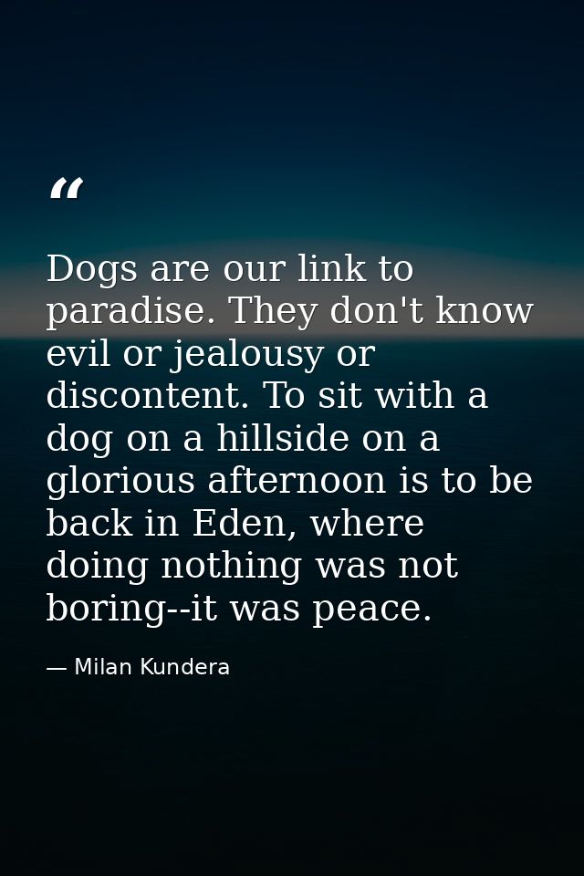 Dogs are our link to paradise. They don't know evil or jealousy or discontent. To sit with a dog on a hillside on a glor — Milan Kundera