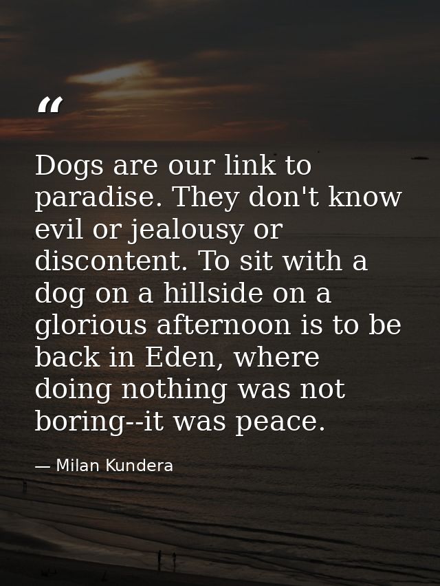 Dogs are our link to paradise. They don't know evil or jealousy or discontent. To sit with a dog on a hillside on a glor — Milan Kundera