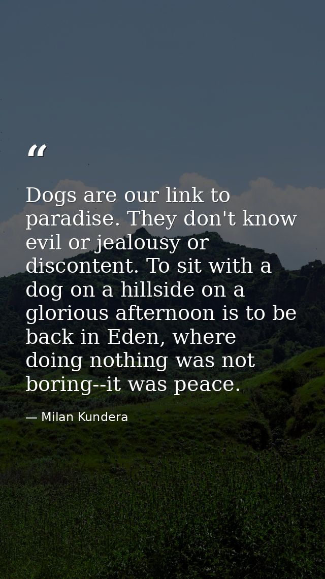 Dogs are our link to paradise. They don't know evil or jealousy or discontent. To sit with a dog on a hillside on a glor — Milan Kundera