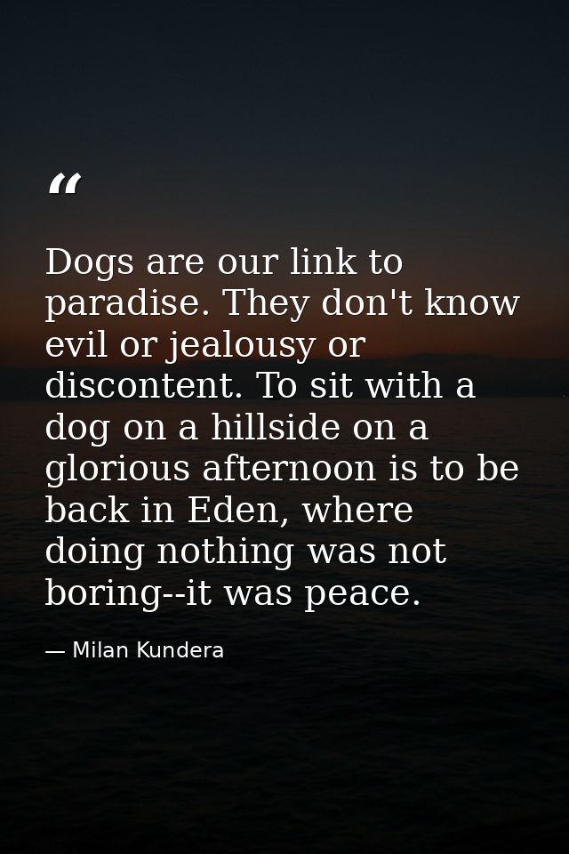 Dogs are our link to paradise. They don't know evil or jealousy or discontent. To sit with a dog on a hillside on a glor — Milan Kundera