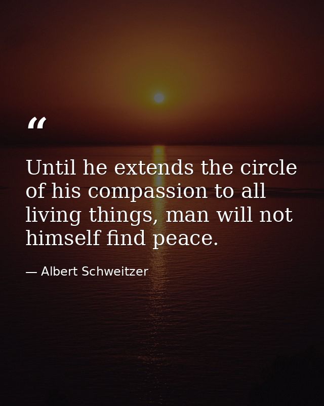 Until he extends the circle of his compassion to all living things, man will not himself find peace. — Albert Schweitzer