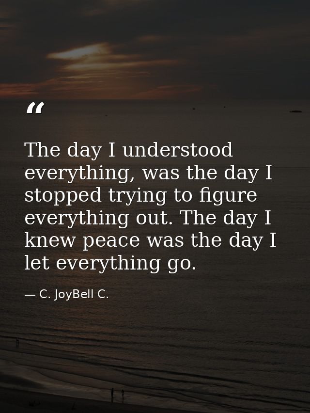 The day I understood everything, was the day I stopped trying to figure everything out. The day I knew peace was the day — C. JoyBell C.