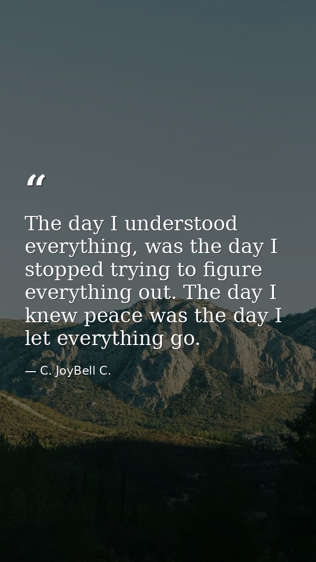 The day I understood everything, was the day I stopped trying to figure everything out. The day I knew peace was the day — C. JoyBell C.
