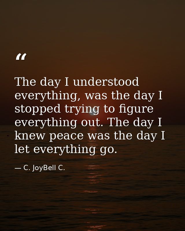 The day I understood everything, was the day I stopped trying to figure everything out. The day I knew peace was the day — C. JoyBell C.