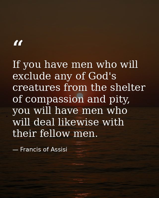 If you have men who will exclude any of God's creatures from the shelter of compassion and pity, you will have men who w — Francis of Assisi