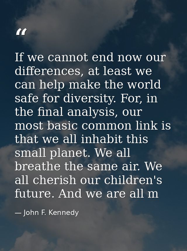 If we cannot end now our differences, at least we can help make the world safe for diversity. For, in the final analysis — John F. Kennedy