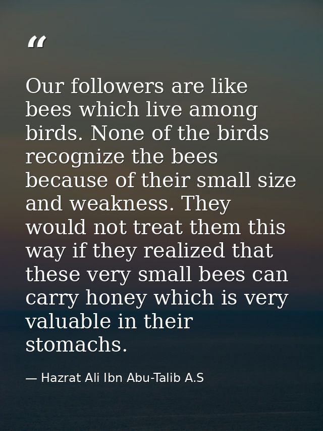 Our followers are like bees which live among birds. None of the birds recognize the bees because of their small size and — Hazrat Ali Ibn Abu-Talib A.S