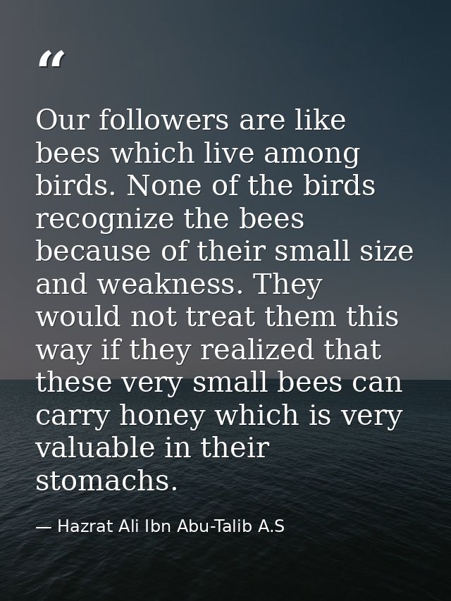 Our followers are like bees which live among birds. None of the birds recognize the bees because of their small size and — Hazrat Ali Ibn Abu-Talib A.S