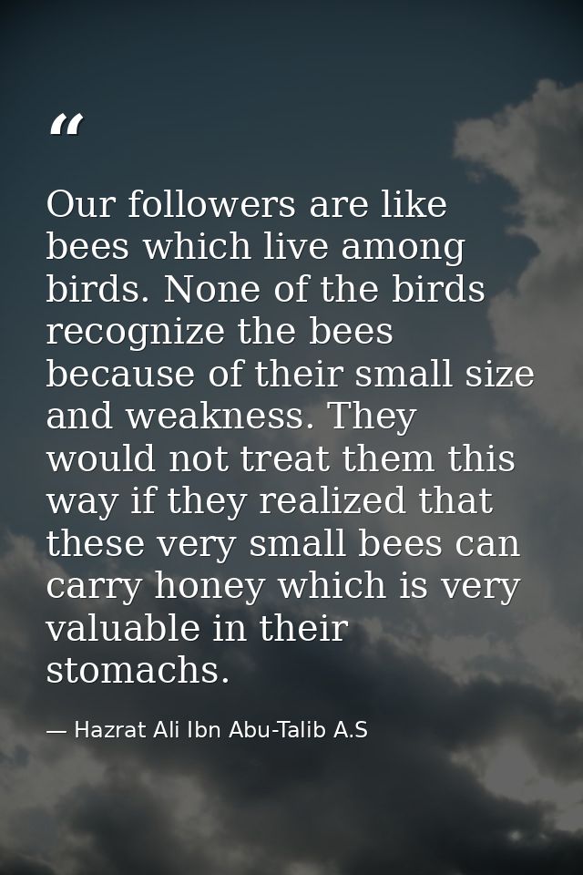 Our followers are like bees which live among birds. None of the birds recognize the bees because of their small size and — Hazrat Ali Ibn Abu-Talib A.S