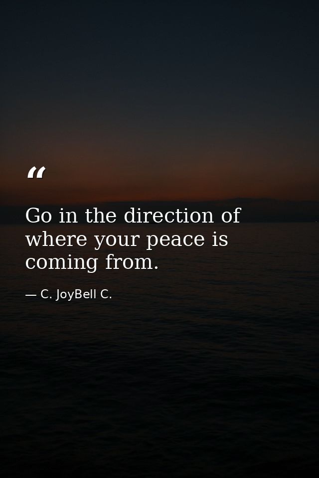 Go in the direction of where your peace is coming from. — C. JoyBell C.