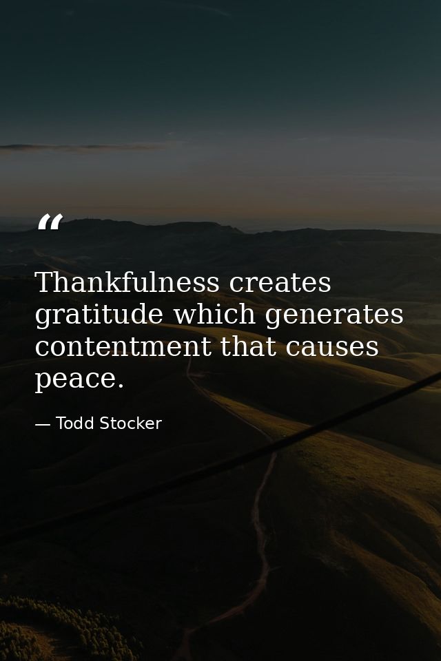 Thankfulness creates gratitude which generates contentment that causes peace. — Todd Stocker