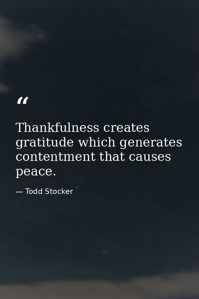 Thankfulness creates gratitude which generates contentment that causes peace. — Todd Stocker