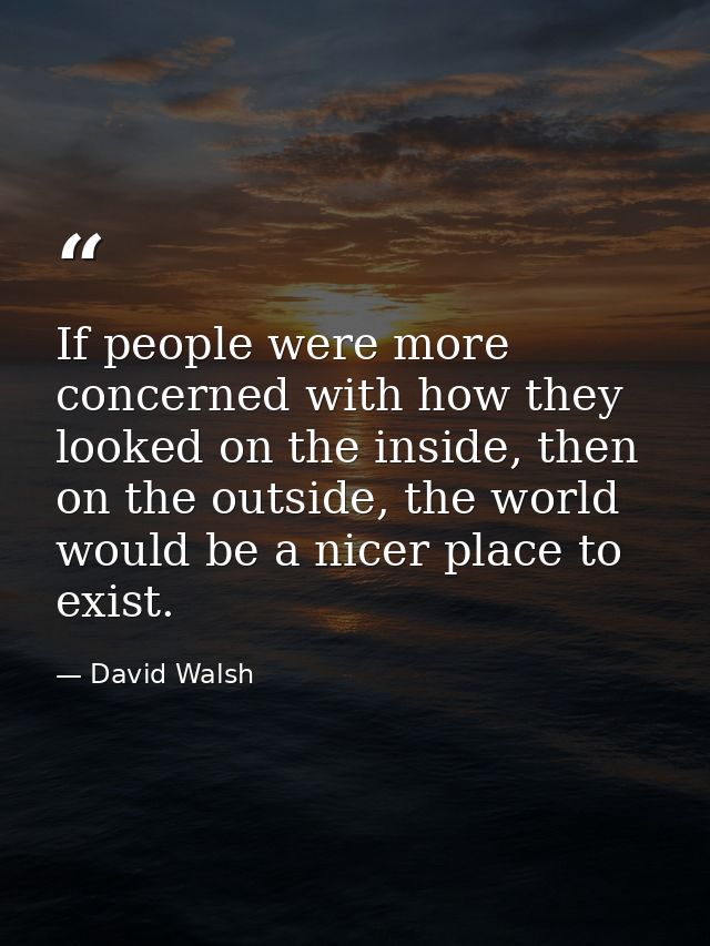 If people were more concerned with how they looked on the inside, then on the outside, the world would be a nicer place  — David Walsh
