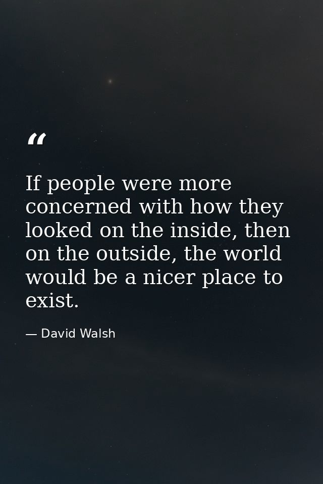 If people were more concerned with how they looked on the inside, then on the outside, the world would be a nicer place  — David Walsh