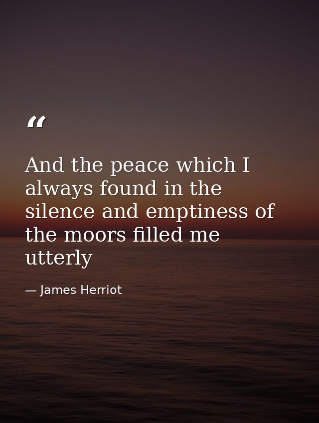 And the peace which I always found in the silence and emptiness of the moors filled me utterly — James Herriot