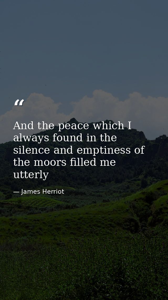 And the peace which I always found in the silence and emptiness of the moors filled me utterly — James Herriot