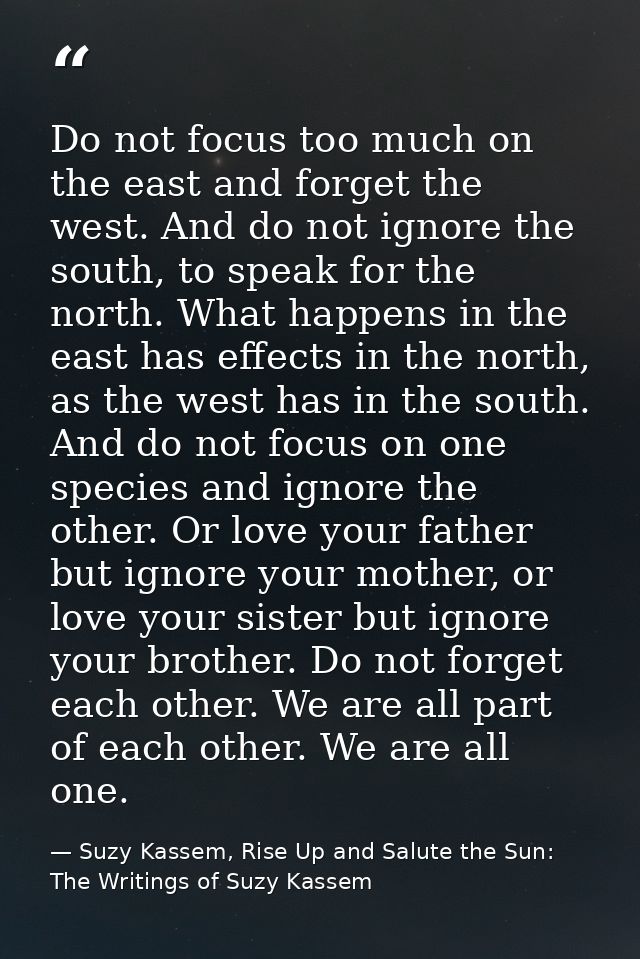 Do not focus too much on the east and forget the west. And do not ignore the south, to speak for the north. What happens — Suzy Kassem, Rise Up and Salute the Sun: The Writings of Suzy Kassem
