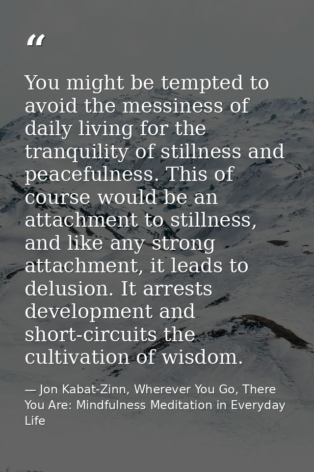 You might be tempted to avoid the messiness of daily living for the tranquility of stillness and peacefulness. This of c — Jon Kabat-Zinn, Wherever You Go, There You Are: Mindfulness Meditation in Everyday Life