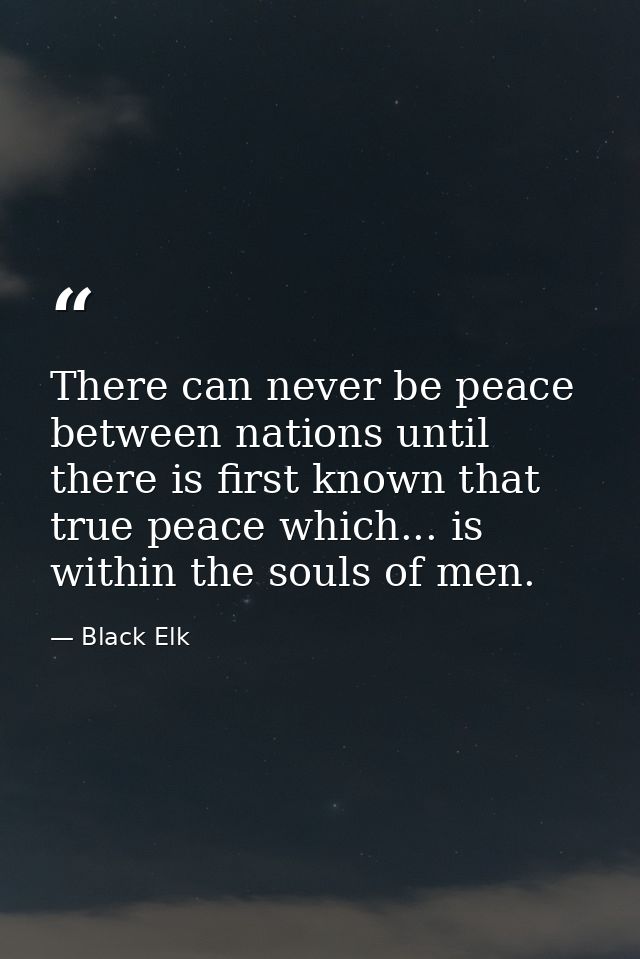 There can never be peace between nations until there is first known that true peace which... is within the souls of men. — Black Elk