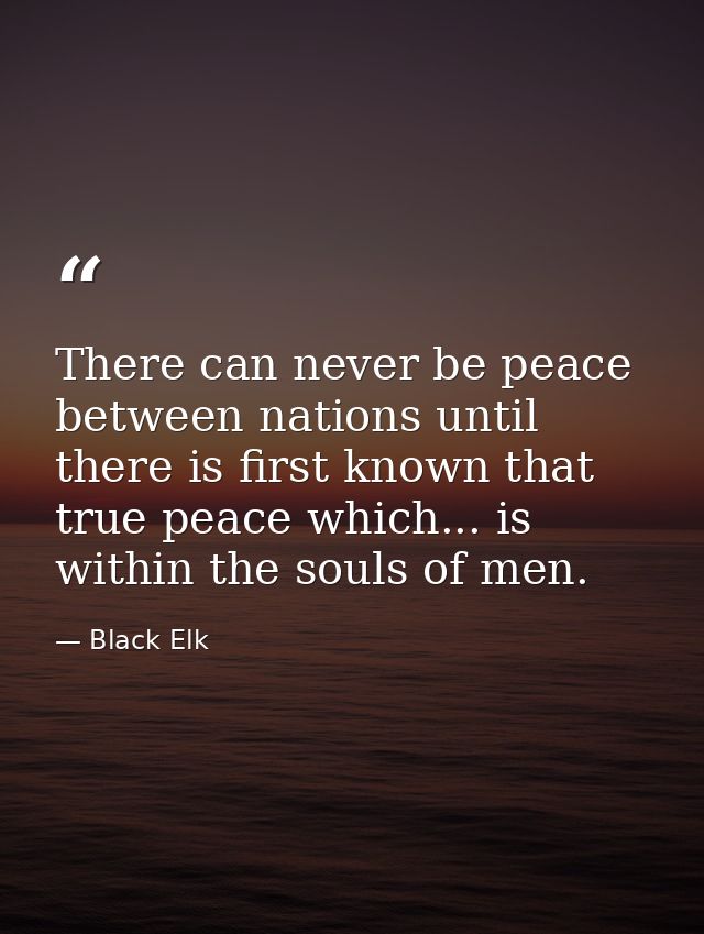 There can never be peace between nations until there is first known that true peace which... is within the souls of men. — Black Elk
