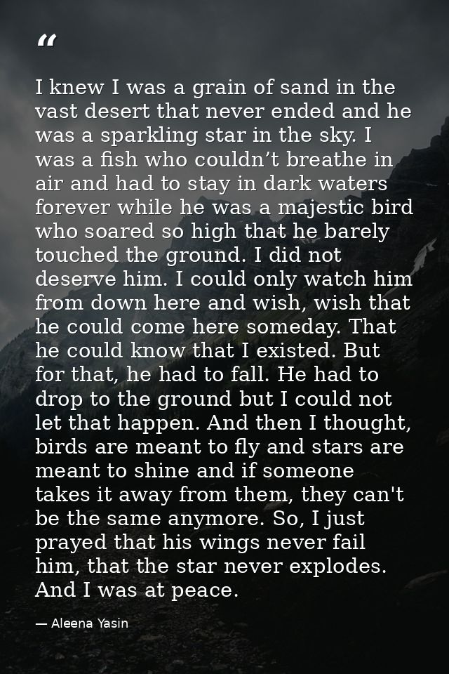 I knew I was a grain of sand in the vast desert that never ended and he was a sparkling star in the sky. I was a fish wh — Aleena Yasin