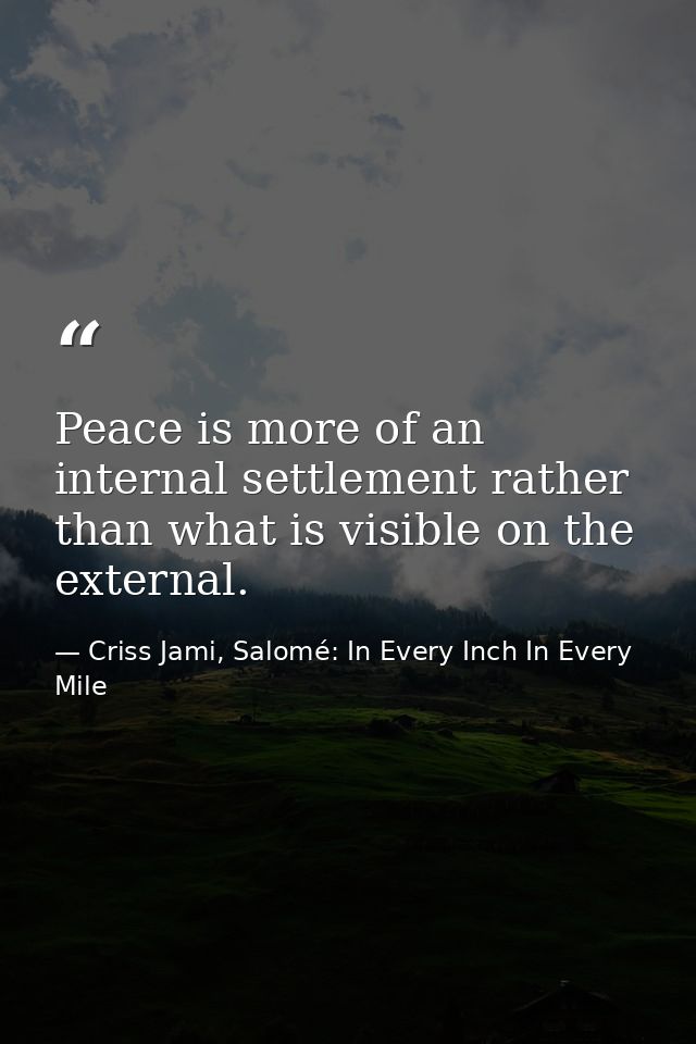 Peace is more of an internal settlement rather than what is visible on the external. — Criss Jami, Salomé: In Every Inch In Every Mile