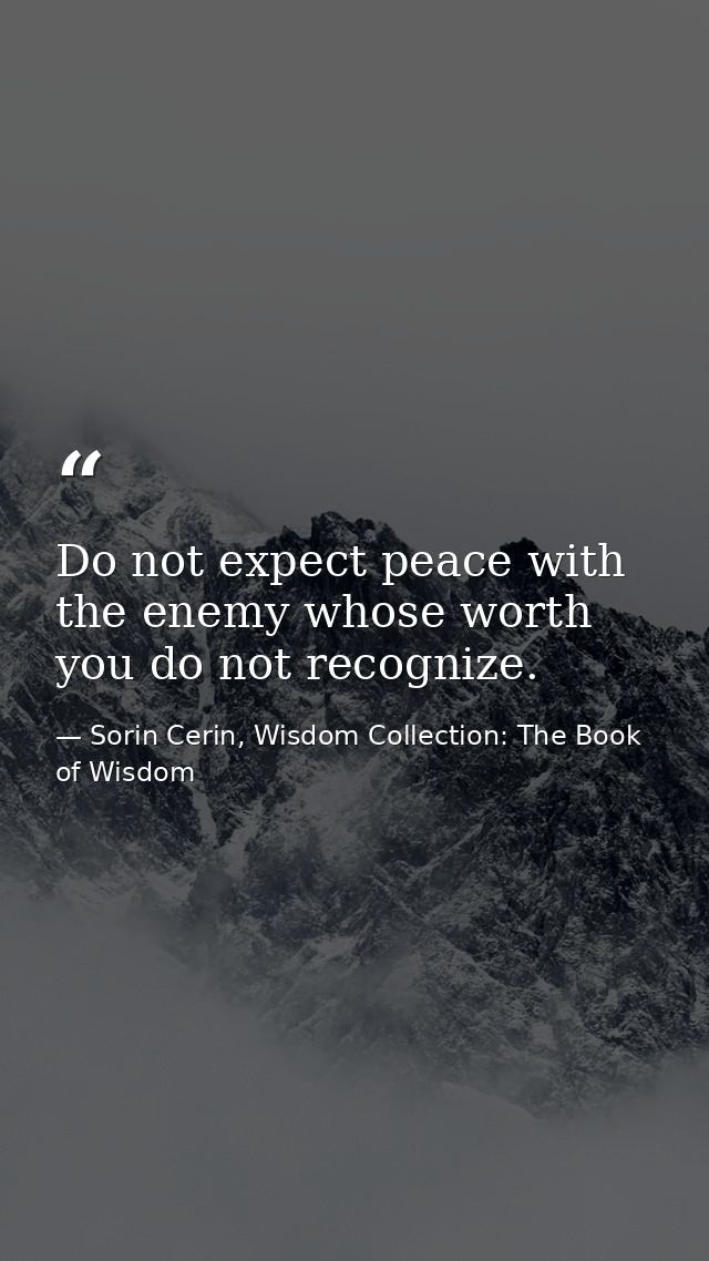Do not expect peace with the enemy whose worth you do not recognize. — Sorin Cerin, Wisdom Collection: The Book of Wisdom