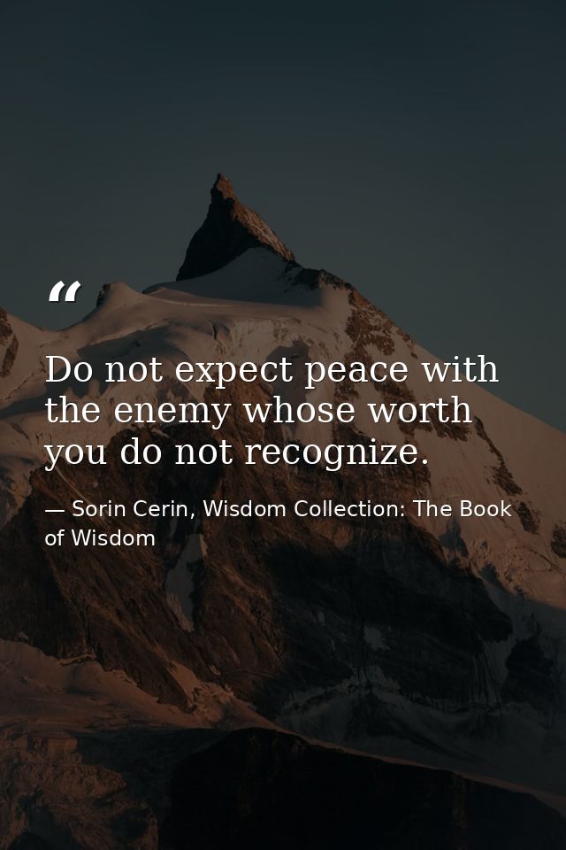 Do not expect peace with the enemy whose worth you do not recognize. — Sorin Cerin, Wisdom Collection: The Book of Wisdom
