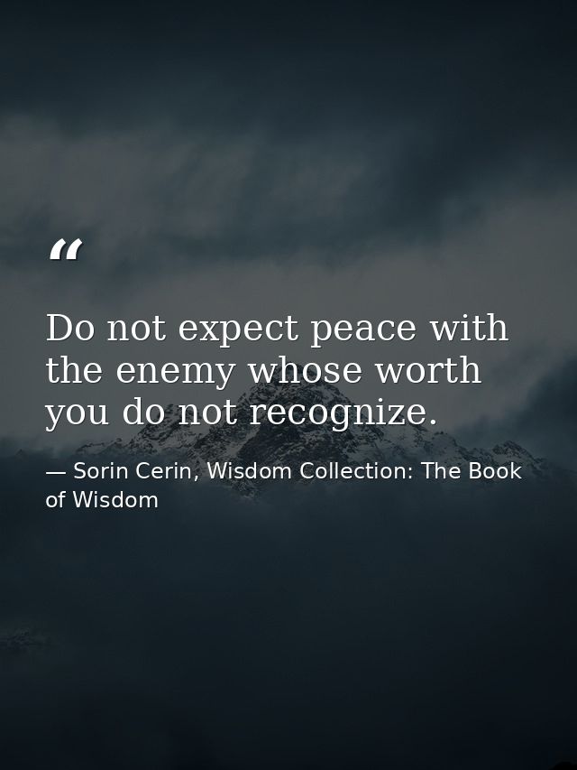 Do not expect peace with the enemy whose worth you do not recognize. — Sorin Cerin, Wisdom Collection: The Book of Wisdom