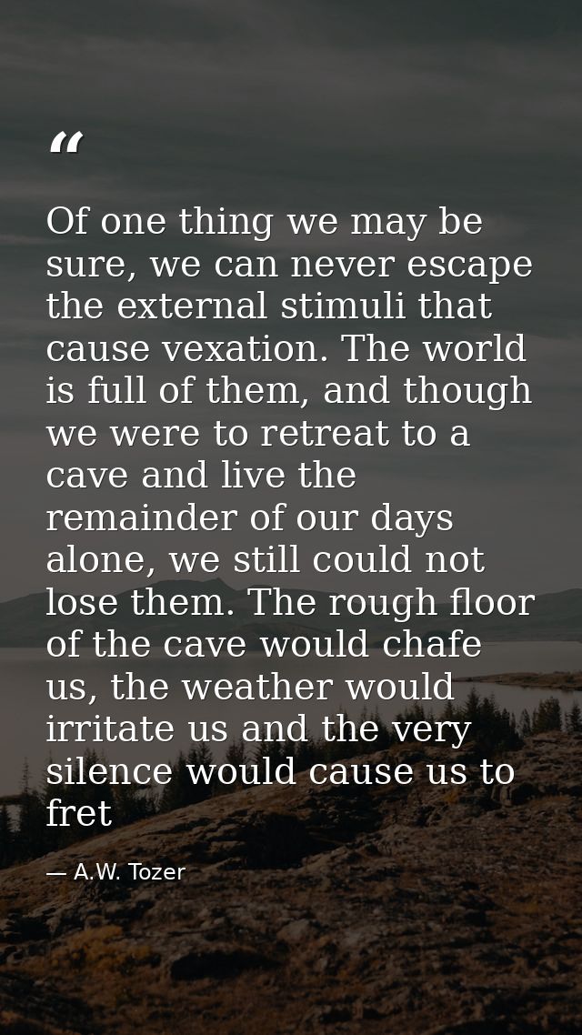Of one thing we may be sure, we can never escape the external stimuli that cause vexation. The world is full of them, an — A.W. Tozer