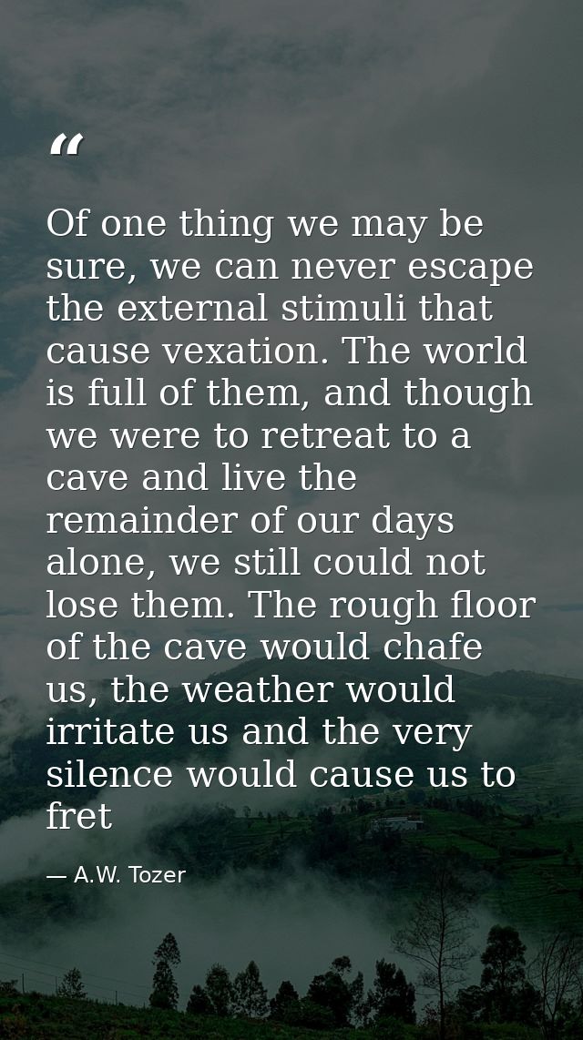 Of one thing we may be sure, we can never escape the external stimuli that cause vexation. The world is full of them, an — A.W. Tozer