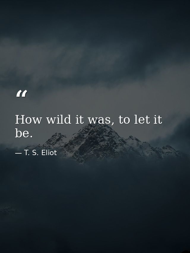 How wild it was, to let it be. — T. S. Eliot
