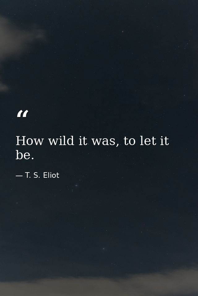 How wild it was, to let it be. — T. S. Eliot