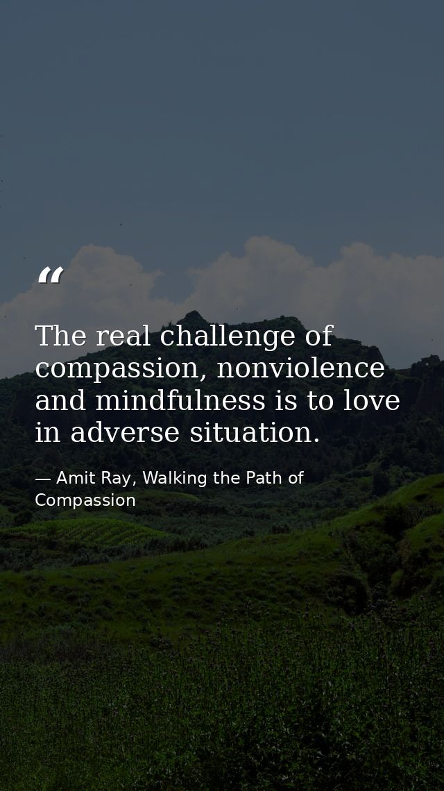 The real challenge of compassion, nonviolence and mindfulness is to love in adverse situation. — Amit Ray, Walking the Path of Compassion