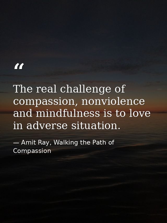 The real challenge of compassion, nonviolence and mindfulness is to love in adverse situation. — Amit Ray, Walking the Path of Compassion