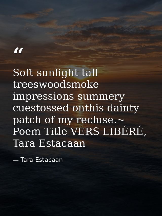 Soft sunlight tall treeswoodsmoke impressions summery cuestossed onthis dainty patch of my recluse.~ Poem Title VERS LIB — Tara Estacaan
