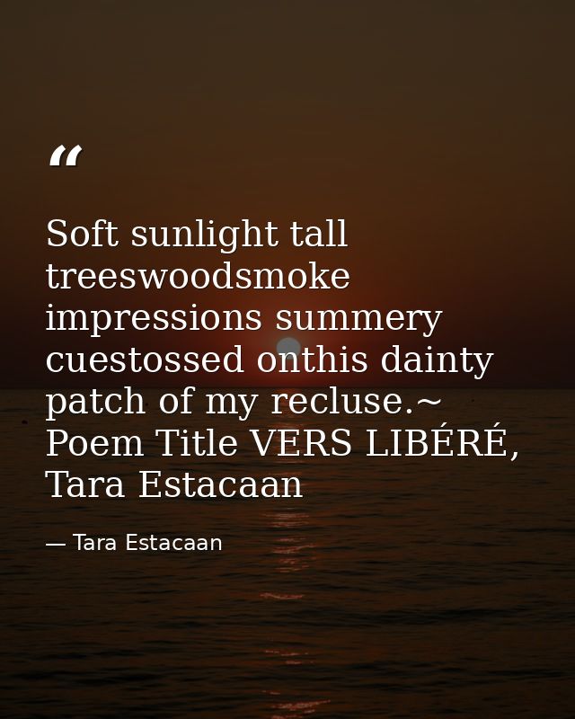 Soft sunlight tall treeswoodsmoke impressions summery cuestossed onthis dainty patch of my recluse.~ Poem Title VERS LIB — Tara Estacaan