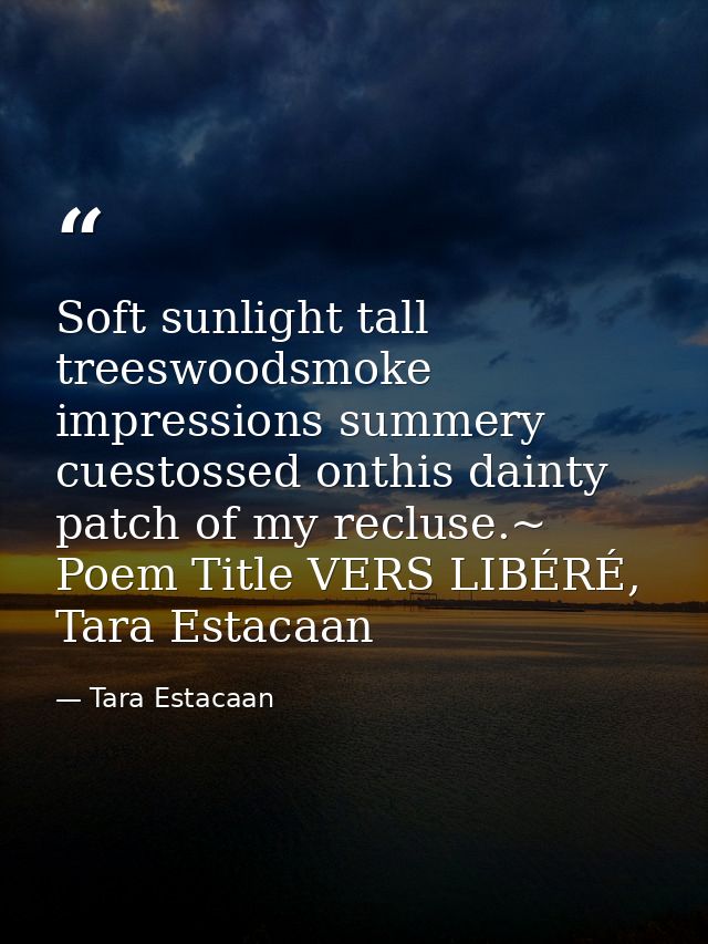 Soft sunlight tall treeswoodsmoke impressions summery cuestossed onthis dainty patch of my recluse.~ Poem Title VERS LIB — Tara Estacaan